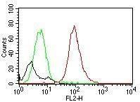 Anti-CD63 antibody