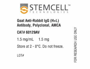 Goat Anti-Rabbit IgG (H+L) antibody, polyclonal, AMCA