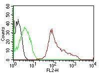 Anti-CD63 antibody