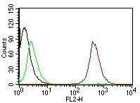 Flow cytometric analysis of MCF-7 cells labeling CD63 with Anti-CD63 Antibody [SPM524] (PE) (Red). Cells alone (Black). Isotype Control (Green).