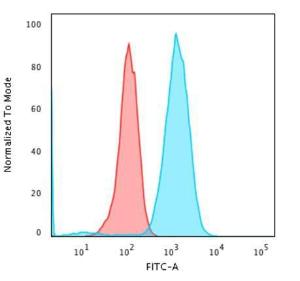 Flow cytometric analysis of Raji cells using Anti-CD79a Antibody [rIGA/764] followed by Goat Anti-Mouse IgG (CF&#174; 488) (Blue) Isotype Control (Red)