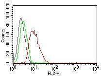 Antibody anti-cyclin D1 SPM587 PE