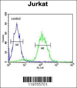 Anti-CD34 Rabbit Polyclonal Antibody (FITC (Fluorescein Isothiocyanate))