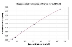 Representative standard curve for human Laminin 2 alpha ELISA kit (A314136)