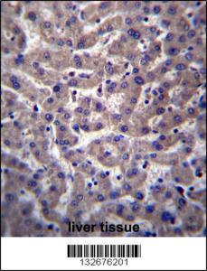 Anti-PTGR2 Rabbit Polyclonal Antibody (Biotin)