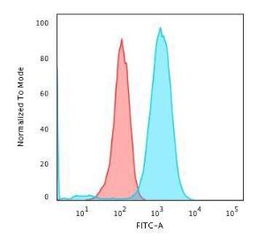 Flow cytometric analysis of Raji cells using Anti-CD79a Antibody [HM47/A9] followed by Goat Anti-Mouse IgG (CF&#174; 488) (Blue). Isotype Control (Red)