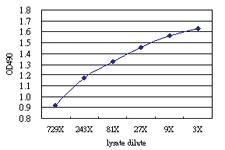 Anti-PRKCZ Antibody Pair