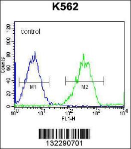 Anti-F105A Rabbit Polyclonal Antibody (AP (Alkaline Phosphatase))