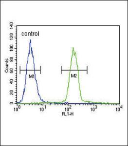 Anti-TYR Rabbit Polyclonal Antibody