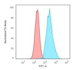 Flow cytometric analysis of Raji cells using Anti-CD79a Antibody [JCB117 + HM47/A9] followed by Goat Anti-Mouse IgG (CF&#174; 488) (Blue) Isotype Control (Red)