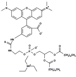 Tritc-dhpe 23301 1 mg