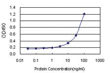 Anti-SFTPB Polyclonal Antibody Pair