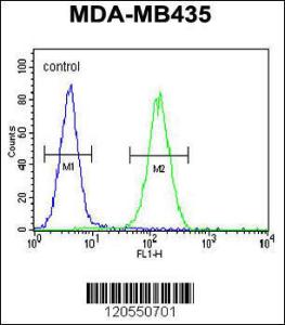 Anti-SMYD4 Rabbit Polyclonal Antibody (FITC (Fluorescein Isothiocyanate))