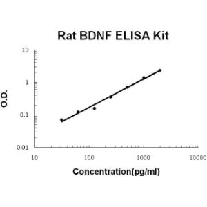 BSBTEK0308 - RAT BDNF PICOKINE ELISA KIT