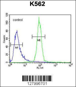 Anti-OR52A1 Rabbit Polyclonal Antibody (AP (Alkaline Phosphatase))