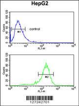 Anti-RNF208 Rabbit Polyclonal Antibody (PE (Phycoerythrin))