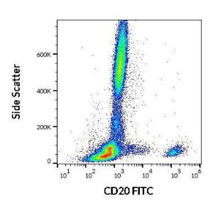 Antibody anti-CD20 LT20 FITC