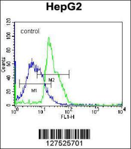 Anti-RPL15 Rabbit Polyclonal Antibody