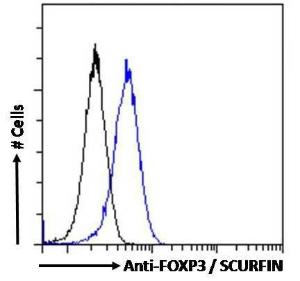 Anti-FOXP3 Antibody (A82808) Flow cytometric analysis of paraformaldehyde fixed Jurkat cells (blue line), permeabilized with 0.5% Triton. Primary incubation 1hr (10µg/ml) followed by Alexa Fluor 488 secondary antibody (4µg/ml).