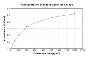 Representative standard curve for Mouse TARC/CCL17 ELISA kit (A77389)