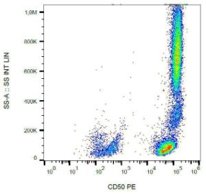 Surface staining of human peripheral blood with Anti-CD50 Antibody (A85862)