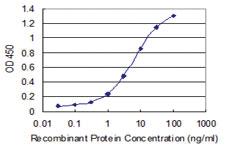 Anti-TASP1 Mouse Monoclonal Antibody [clone: 3E10]