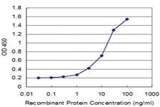 Anti-NELL1 Mouse Monoclonal Antibody [clone: 3F1]