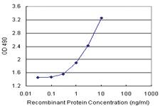 Anti-CBL Antibody Pair