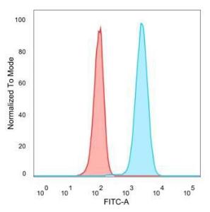 Flow cytometric analysis of PFA fixed HeLa cells using Anti-CREB5 Antibody [PCRP-CREB5-1G8] followed by Goat Anti-Mouse IgG (CFand#174; 488) (Blue). Unstained cells (red)