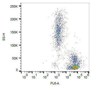 Anti-CD102 antibody