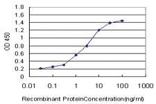 Anti-TRIM49 Mouse Monoclonal Antibody [clone: 3H8]