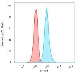 Flow cytometric analysis of PFA fixed K562 cells using Anti-CREB5 Antibody [PCRP-CREB5-1G8] followed by Goat Anti-Mouse IgG (CFand#174; 488) (Blue). Unstained cells (red)