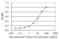 Anti-FXN Polyclonal Antibody Pair