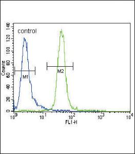 Anti-MUSK Rabbit Polyclonal Antibody (HRP (Horseradish Peroxidase))