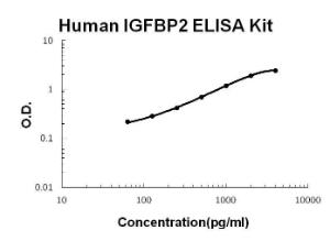 BSBTEK0384 - HUMAN IGFBP2 PICOKINE ELISA KIT