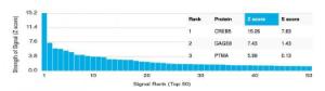 Analysis of protein array containing more than 19,000 full-length human proteins using Anti-CREB5 Antibody [PCRP-CREB5-1G8]