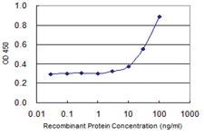 Anti-ZFHX4 Mouse Monoclonal Antibody [clone: 2B12]