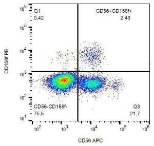 Surface staining of human peripheral blood with Anti-CD158f Antibody (A85876)