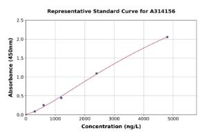 Representative standard curve for human Synaptophysin ELISA kit (A314156)