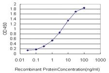 Anti-UBE2S Mouse Monoclonal Antibody [clone: 3D5]