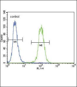 Anti-PLAU Rabbit Polyclonal Antibody (PE (Phycoerythrin))