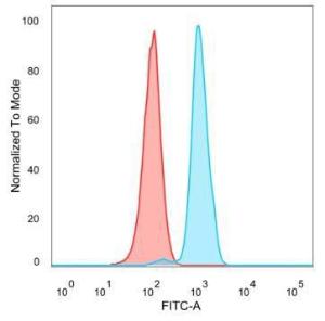 Flow cytometric analysis of PFA fixed HeLa cells using Anti-Y14 Antibody [PCRP-RBM8A-1B4] followed by Goat Anti-Mouse IgG (CF&#174; 488) (Blue) Unstained cells (red)