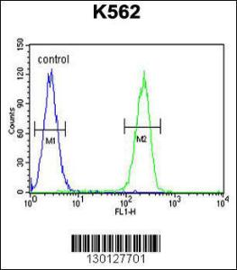 Anti-RPL27A Rabbit Polyclonal Antibody (FITC (Fluorescein Isothiocyanate))