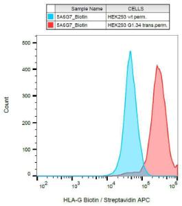 Surface staining of HLA-G in HLA-G1 transfectants with Anti-HLA G Antibody (A85879)