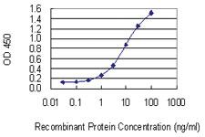 Anti-CD84 Mouse Monoclonal Antibody [clone: 3G10]