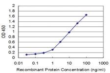 Anti-TRIM49 Mouse Monoclonal Antibody [clone: 3C7]