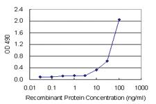 Anti-SFTPD Mouse Monoclonal Antibody (Biotin)