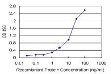 Anti-SFTPD Mouse Monoclonal Antibody (Biotin)