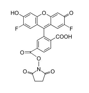 6-o g488 succinimidyl 711 5 mg