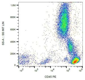 Anti-CD45 antibody